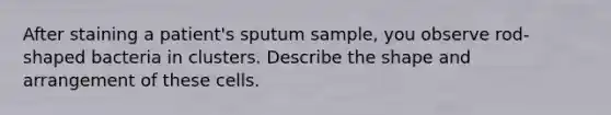 After staining a patient's sputum sample, you observe rod-shaped bacteria in clusters. Describe the shape and arrangement of these cells.