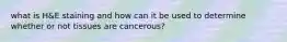 what is H&E staining and how can it be used to determine whether or not tissues are cancerous?