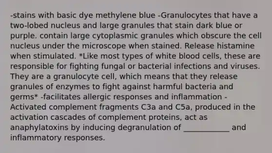 -stains with basic dye methylene blue -Granulocytes that have a two-lobed nucleus and large granules that stain dark blue or purple. contain large cytoplasmic granules which obscure the <a href='https://www.questionai.com/knowledge/ksZq6y1LRD-cell-nucleus' class='anchor-knowledge'>cell nucleus</a> under the microscope when stained. Release histamine when stimulated. *Like most types of white blood cells, these are responsible for fighting fungal or bacterial infections and viruses. They are a granulocyte cell, which means that they release granules of enzymes to fight against harmful bacteria and germs* -facilitates allergic responses and inflammation -Activated complement fragments C3a and C5a, produced in the activation cascades of complement proteins, act as anaphylatoxins by inducing degranulation of ____________ and inflammatory responses.