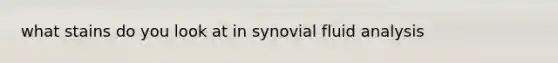 what stains do you look at in synovial fluid analysis