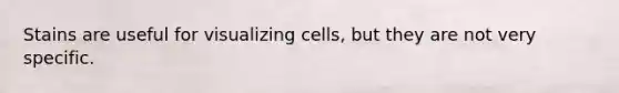 Stains are useful for visualizing cells, but they are not very specific.