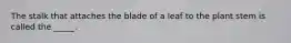 The stalk that attaches the blade of a leaf to the plant stem is called the _____.