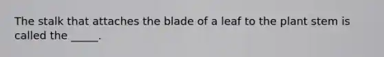 The stalk that attaches the blade of a leaf to the plant stem is called the _____.