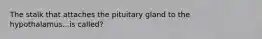 The stalk that attaches the pituitary gland to the hypothalamus...is called?