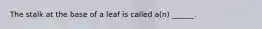 The stalk at the base of a leaf is called a(n) ______.