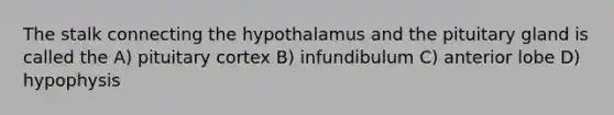 The stalk connecting the hypothalamus and the pituitary gland is called the A) pituitary cortex B) infundibulum C) anterior lobe D) hypophysis