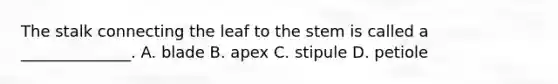 The stalk connecting the leaf to the stem is called a ______________. A. blade B. apex C. stipule D. petiole