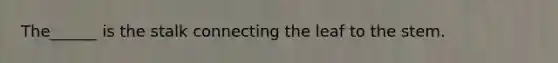 The______ is the stalk connecting the leaf to the stem.
