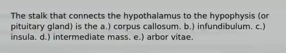 The stalk that connects the hypothalamus to the hypophysis (or pituitary gland) is the a.) corpus callosum. b.) infundibulum. c.) insula. d.) intermediate mass. e.) arbor vitae.