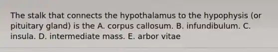 The stalk that connects the hypothalamus to the hypophysis (or pituitary gland) is the A. corpus callosum. B. infundibulum. C. insula. D. intermediate mass. E. arbor vitae