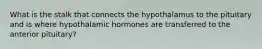 What is the stalk that connects the hypothalamus to the pituitary and is where hypothalamic hormones are transferred to the anterior pituitary?