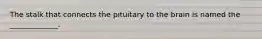 The stalk that connects the pituitary to the brain is named the _____________.