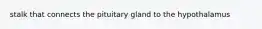 stalk that connects the pituitary gland to the hypothalamus