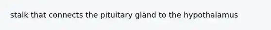 stalk that connects the pituitary gland to the hypothalamus