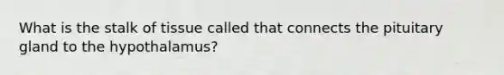 What is the stalk of tissue called that connects the pituitary gland to the hypothalamus?