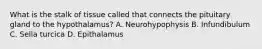 What is the stalk of tissue called that connects the pituitary gland to the hypothalamus? A. Neurohypophysis B. Infundibulum C. Sella turcica D. Epithalamus