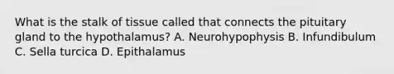 What is the stalk of tissue called that connects the pituitary gland to the hypothalamus? A. Neurohypophysis B. Infundibulum C. Sella turcica D. Epithalamus