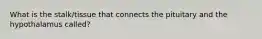 What is the stalk/tissue that connects the pituitary and the hypothalamus called?