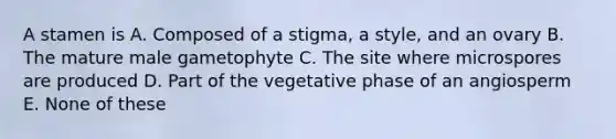 A stamen is A. Composed of a stigma, a style, and an ovary B. The mature male gametophyte C. The site where microspores are produced D. Part of the vegetative phase of an angiosperm E. None of these