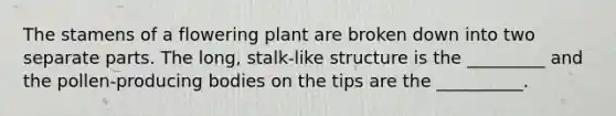 The stamens of a flowering plant are broken down into two separate parts. The long, stalk-like structure is the _________ and the pollen-producing bodies on the tips are the __________.