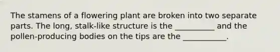 The stamens of a flowering plant are broken into two separate parts. The long, stalk-like structure is the __________ and the pollen-producing bodies on the tips are the ___________.