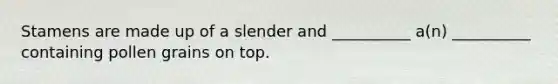 Stamens are made up of a slender and __________ a(n) __________ containing pollen grains on top.