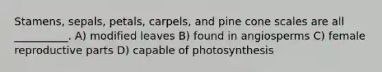 Stamens, sepals, petals, carpels, and pine cone scales are all __________. A) modified leaves B) found in angiosperms C) female reproductive parts D) capable of photosynthesis