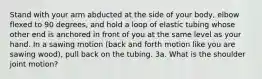 Stand with your arm abducted at the side of your body, elbow flexed to 90 degrees, and hold a loop of elastic tubing whose other end is anchored in front of you at the same level as your hand. In a sawing motion (back and forth motion like you are sawing wood), pull back on the tubing. 3a. What is the shoulder joint motion?