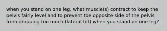 when you stand on one leg, what muscle(s) contract to keep the pelvis fairly level and to prevent toe opposite side of the pelvis from dropping too much (lateral tilt) when you stand on one leg?