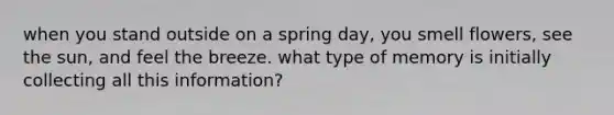 when you stand outside on a spring day, you smell flowers, see the sun, and feel the breeze. what type of memory is initially collecting all this information?