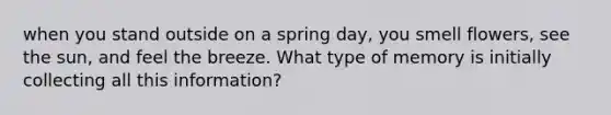 when you stand outside on a spring day, you smell flowers, see the sun, and feel the breeze. What type of memory is initially collecting all this information?