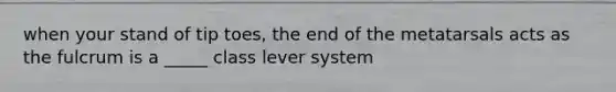 when your stand of tip toes, the end of the metatarsals acts as the fulcrum is a _____ class lever system