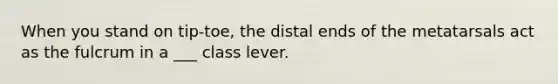 When you stand on tip-toe, the distal ends of the metatarsals act as the fulcrum in a ___ class lever.