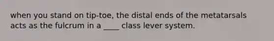 when you stand on tip-toe, the distal ends of the metatarsals acts as the fulcrum in a ____ class lever system.