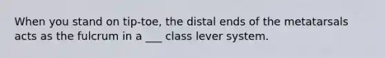 When you stand on tip-toe, the distal ends of the metatarsals acts as the fulcrum in a ___ class lever system.