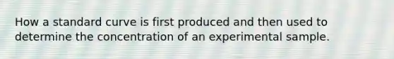 How a standard curve is first produced and then used to determine the concentration of an experimental sample.