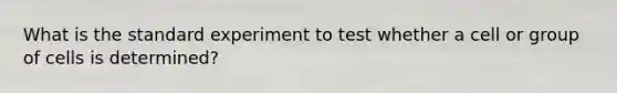 What is the standard experiment to test whether a cell or group of cells is determined?