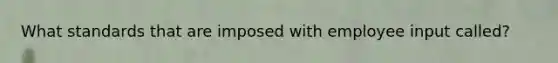 What standards that are imposed with employee input called?