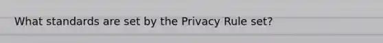 What standards are set by the Privacy Rule set?