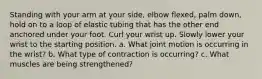 Standing with your arm at your side, elbow flexed, palm down, hold on to a loop of elastic tubing that has the other end anchored under your foot. Curl your wrist up. Slowly lower your wrist to the starting position. a. What joint motion is occurring in the wrist? b. What type of contraction is occurring? c. What muscles are being strengthened?