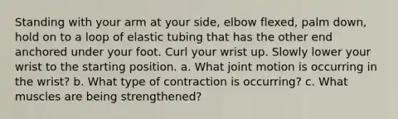 Standing with your arm at your side, elbow flexed, palm down, hold on to a loop of elastic tubing that has the other end anchored under your foot. Curl your wrist up. Slowly lower your wrist to the starting position. a. What joint motion is occurring in the wrist? b. What type of contraction is occurring? c. What muscles are being strengthened?