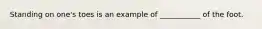 Standing on one's toes is an example of ___________ of the foot.
