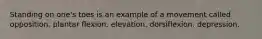 Standing on one's toes is an example of a movement called opposition. plantar flexion. elevation. dorsiflexion. depression.