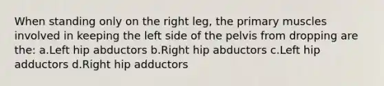 When standing only on the right leg, the primary muscles involved in keeping the left side of the pelvis from dropping are the: a.Left hip abductors b.Right hip abductors c.Left hip adductors d.Right hip adductors