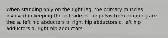 When standing only on the right leg, the primary muscles involved in keeping the left side of the pelvis from dropping are the: a. left hip abductors b. right hip abductors c. left hip adductors d. right hip adductors