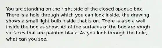 You are standing on the right side of the closed opaque box. There is a hole through which you can look inside, the drawing shows a small light bulb inside that is on. There is also a wall inside the box as show. A;l of the surfaces of the box are rough surfaces that are painted black. As you look through the hole, what can you see.