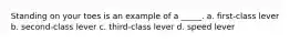 Standing on your toes is an example of a _____. a. first-class lever b. second-class lever c. third-class lever d. speed lever