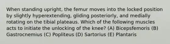 When standing upright, the femur moves into the locked position by slightly hyperextending, gliding posteriorly, and medially rotating on the tibial plateaus. Which of the following muscles acts to initiate the unlocking of the knee? (A) Bicepsfemoris (B) Gastrocnemius (C) Popliteus (D) Sartorius (E) Plantaris