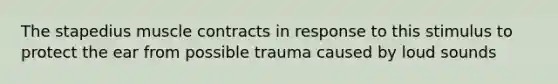 The stapedius muscle contracts in response to this stimulus to protect the ear from possible trauma caused by loud sounds