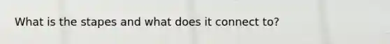 What is the stapes and what does it connect to?